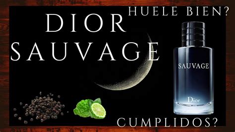 sauvage dior huele rico|sauvage de dior fragancia.